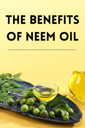 The Benefits of Neem Oil